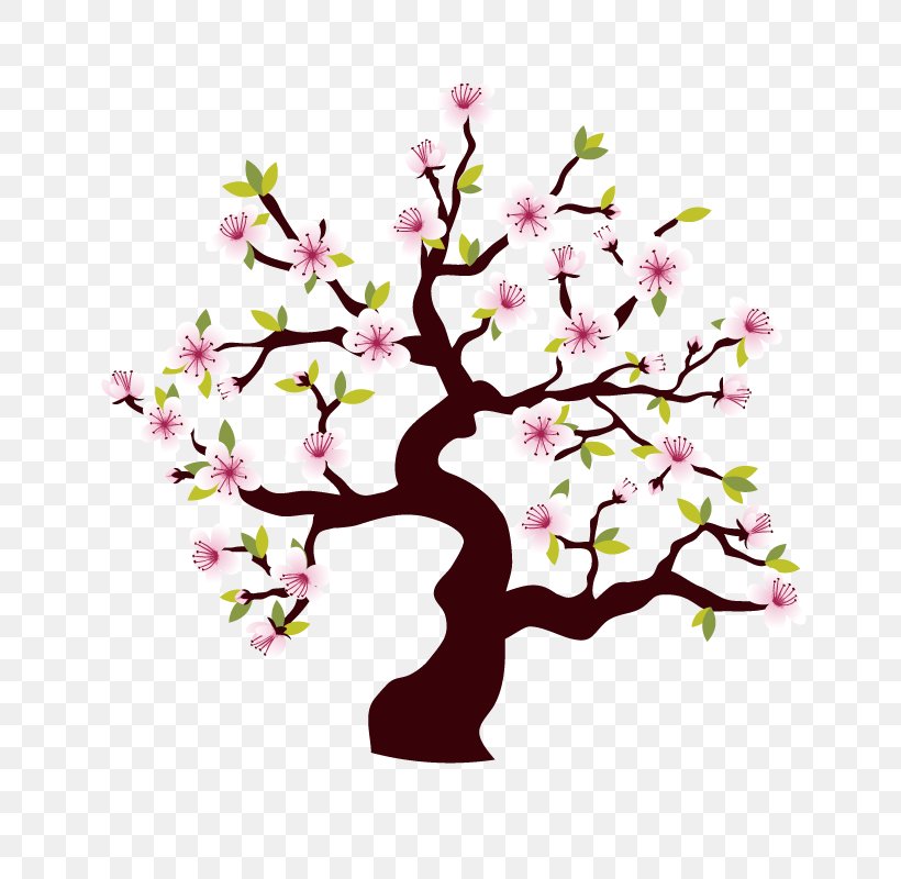 Flower, PNG, 800x800px, Sticker, Adhesive, Blossom, Branch, Cherry Blossom Download Free