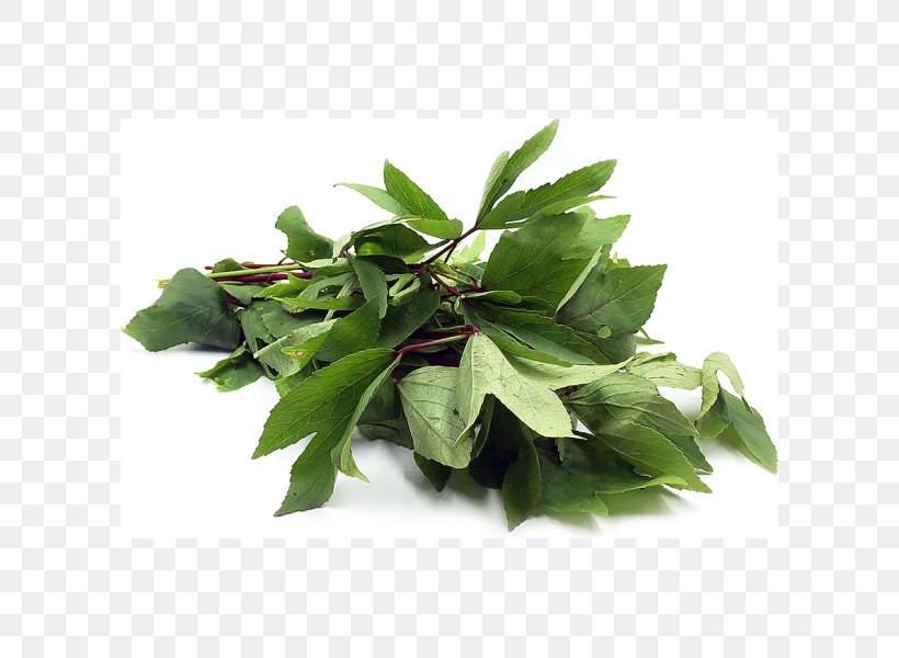 Gongura Indian Cuisine Leaf Vegetable Coriander Telugu Cuisine, PNG, 600x600px, Gongura, Coriander, Farmer, Fenugreek, Grocery Store Download Free