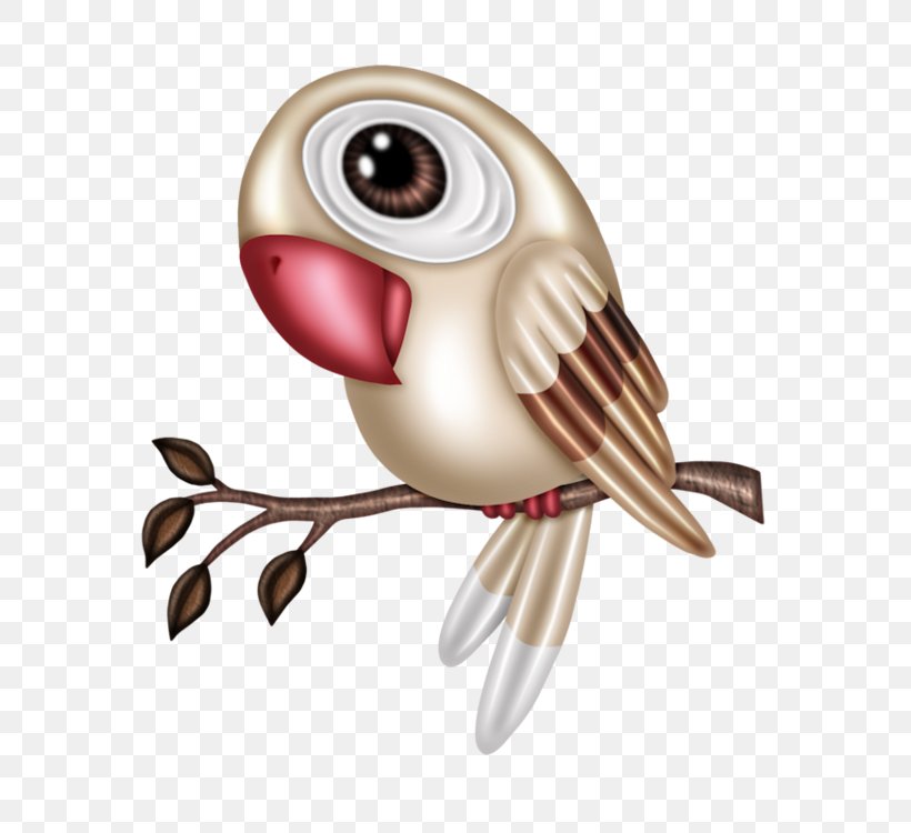 Owl Bird Parrot T-shirt Clip Art, PNG, 600x750px, Watercolor, Cartoon, Flower, Frame, Heart Download Free