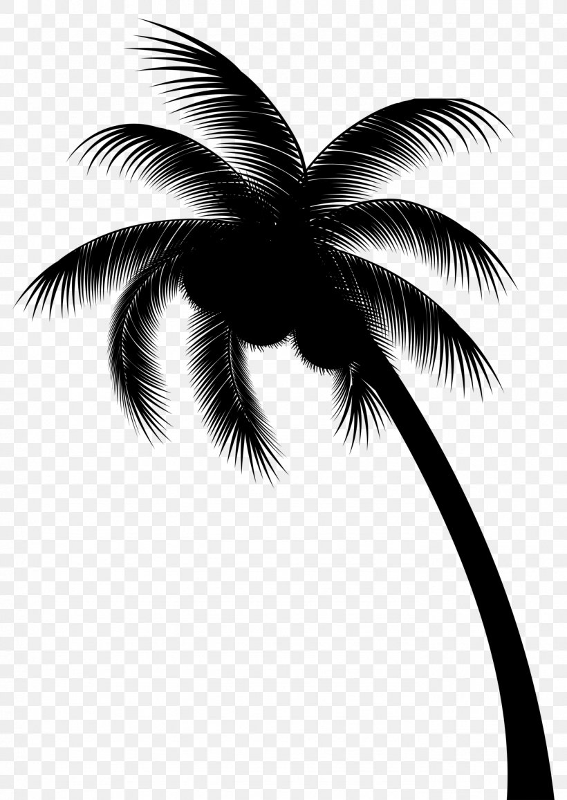 Palm Trees Coconut Field Day Inc Clip Art, PNG, 1387x1956px, Palm Trees, Arecales, Attalea Speciosa, Black, Blackandwhite Download Free