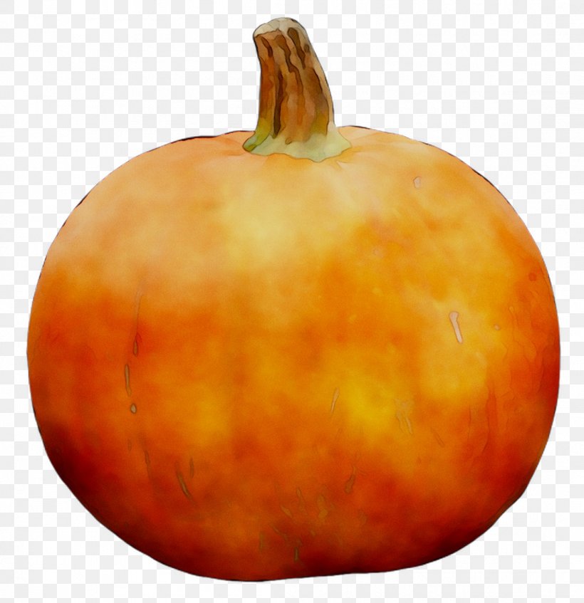 Pumpkin Herbein's Garden Center Inc Emmaus Calabaza Gourd, PNG, 1106x1143px, Pumpkin, Accessory Fruit, Calabaza, Cucurbita, Emmaus Download Free