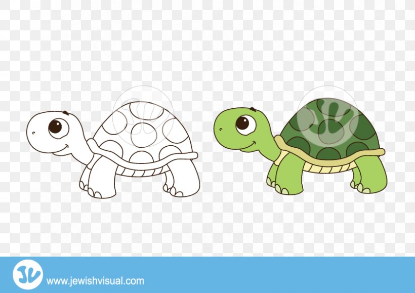 Tortoise Turtle Clip Art, PNG, 842x595px, Tortoise, Cartoon, Email, Fauna, Green Sea Turtle Download Free