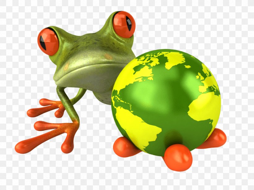 Glass Frog Clip Art Stock Photography, PNG, 850x638px, Frog, Amphibian, Australian Green Tree Frog, Fruit, Glass Frog Download Free