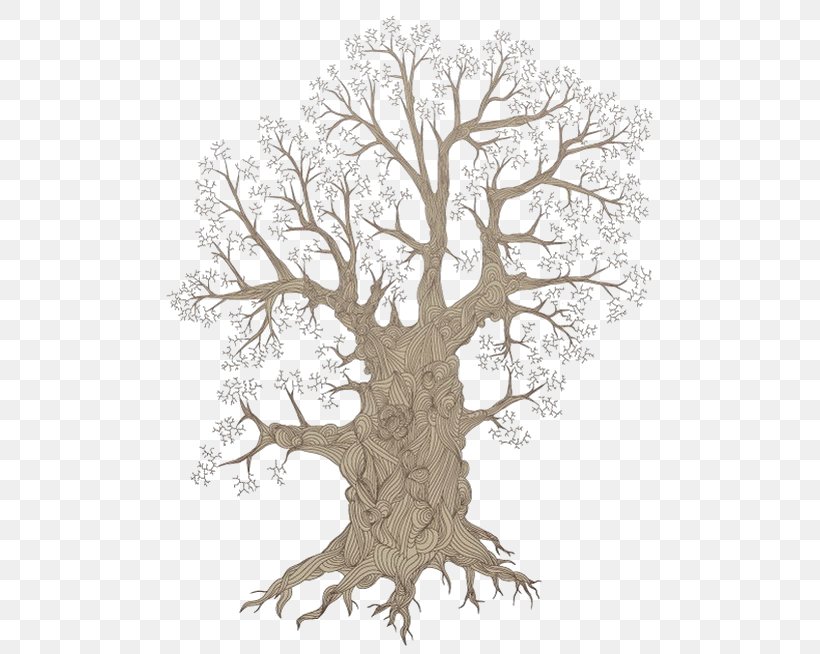 Root Tree Royalty-free, PNG, 570x654px, Root, Branch, Oak, Plant, Royaltyfree Download Free