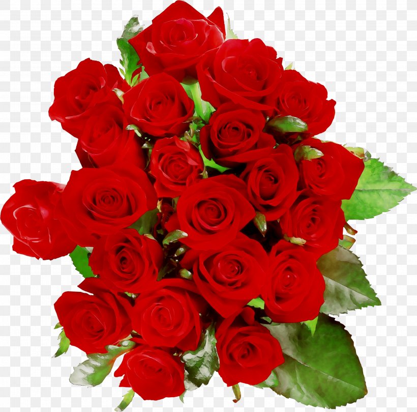 Garden Roses Quirkeee Cafe Floribunda WA16 8DX, PNG, 3150x3108px, Garden Roses, Artificial Flower, Begonia, Bouquet, Camellia Download Free