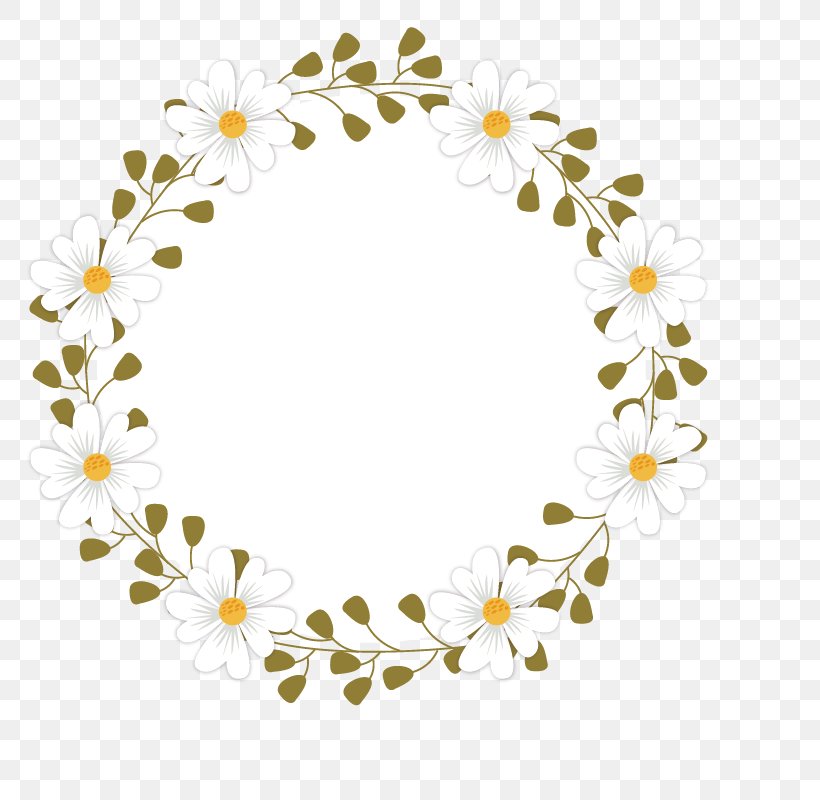 Image Photograph Flower Illustration Clip Art, PNG, 800x800px, Flower, Camomile, Chamomile, Cut Flowers, Daisy Download Free