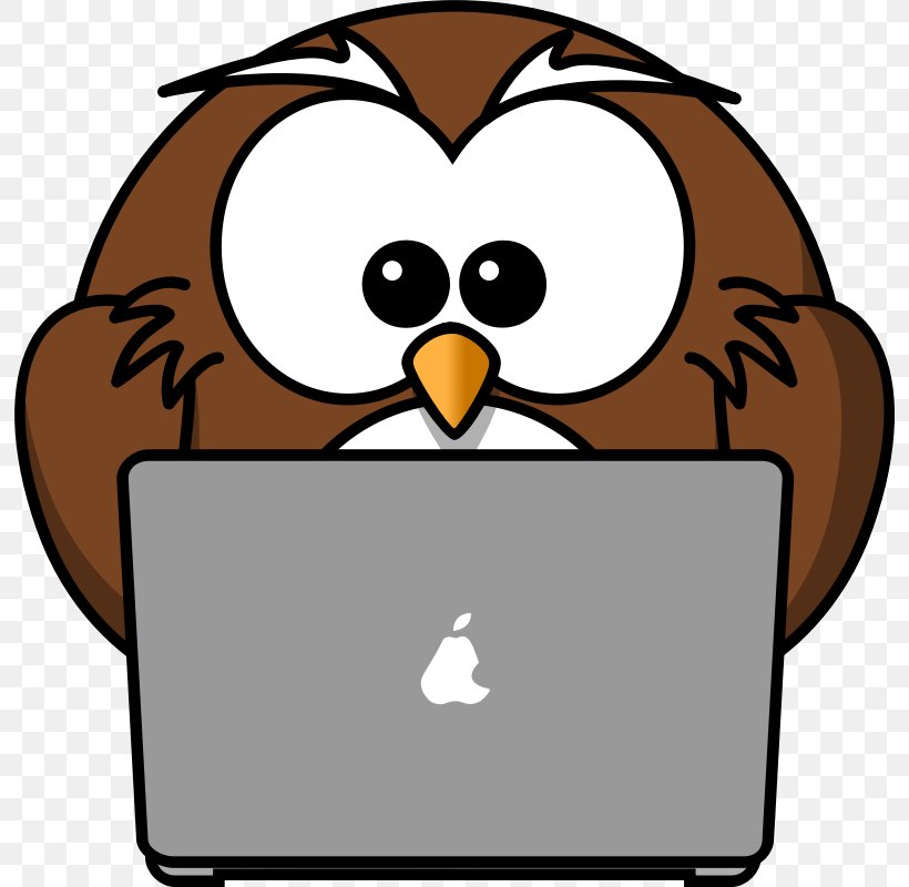 Laptop Owl Typing Clip Art, PNG, 800x800px, Laptop, Artwork, Beak, Bird, Computer Download Free
