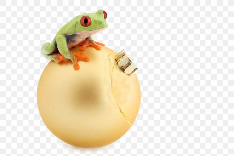 Tree Frog Advertising, PNG, 1440x960px, Tree Frog, Advertising, Amphibian, Animal, Ball Download Free