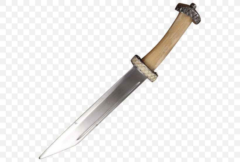 Bowie Knife Hunting & Survival Knives Dagger Seax, PNG, 555x555px, Bowie Knife, Baskethilted Sword, Blade, Cold Weapon, Dagger Download Free