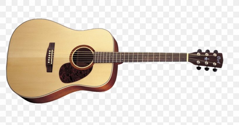 Cort Guitars Steel-string Acoustic Guitar Twelve-string Guitar, PNG, 1000x524px, Watercolor, Cartoon, Flower, Frame, Heart Download Free