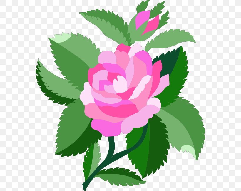 Damask Rose Clip Art, PNG, 577x650px, Damask Rose, Color, Damask, Flora, Floral Design Download Free