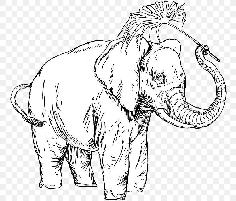 Indian Elephant African Elephant Line Art Drawing, PNG, 762x700px, Indian Elephant, African Elephant, Animal, Animal Figure, Art Download Free