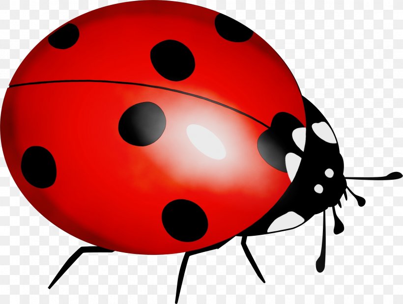 Ladybug, PNG, 2364x1786px, Watercolor, Beetle, Insect, Ladybug, Paint Download Free
