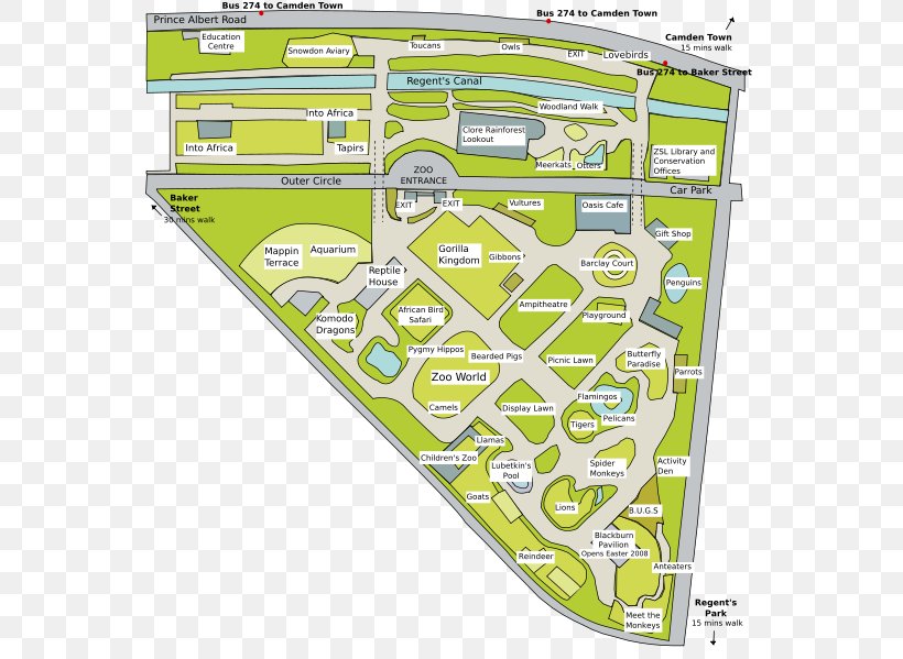 London Zoo Whipsnade Zoo Zoological Society Of London Shore, PNG, 564x599px, London Zoo, Area, Diagram, Grass, Green Download Free