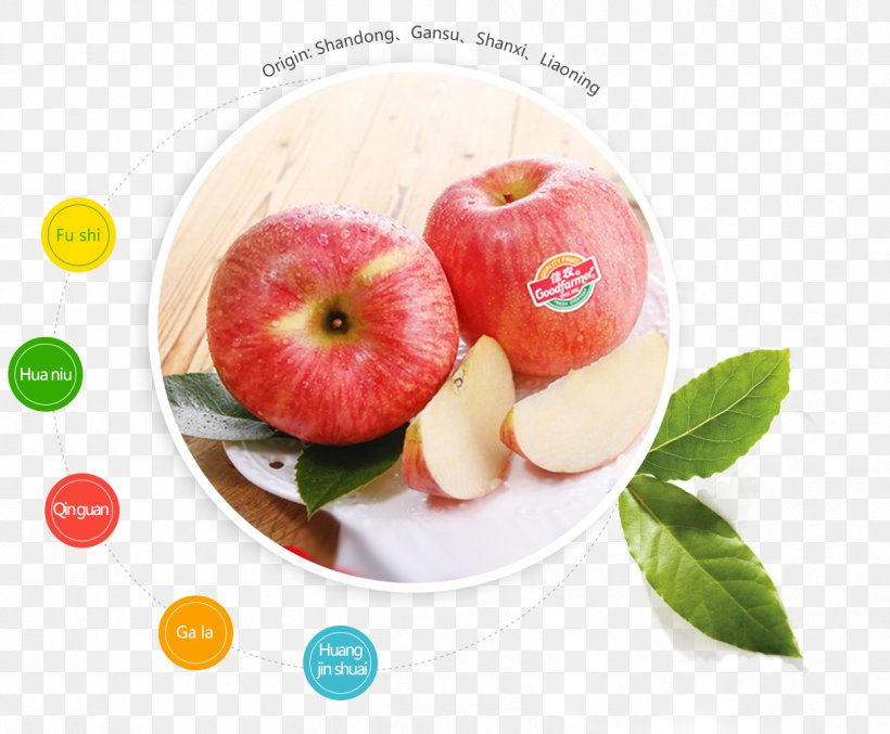 Apple Qixia, Shandong Organic Food Fuji, PNG, 1213x1002px, Apple, Business, Chinese White Pear, Concentrate, Diet Food Download Free