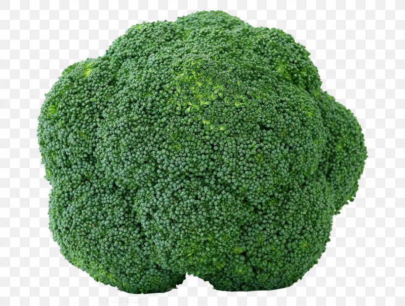 Broccoli Cabbage Cauliflower Brussels Sprout Vegetable, PNG, 1024x773px, Broccoli, Bean, Brassica Oleracea, Brussels Sprout, Cabbage Download Free