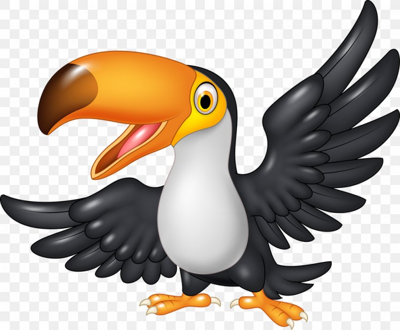 Cartoon Toucan, PNG, 1024x847px, Cartoon, Beak, Bird, Drawing, Hornbill Download Free