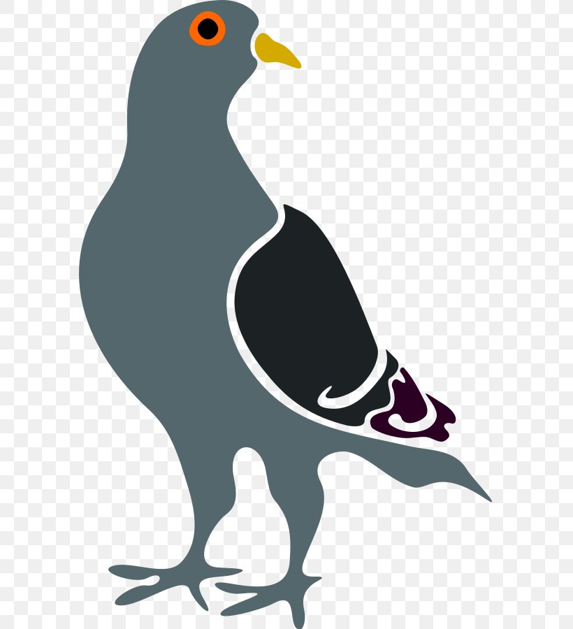 Domestic Pigeon Columbidae Google Pigeon Search Engine Optimization PageRank, PNG, 594x900px, Domestic Pigeon, Algorithm, Artwork, Beak, Bird Download Free