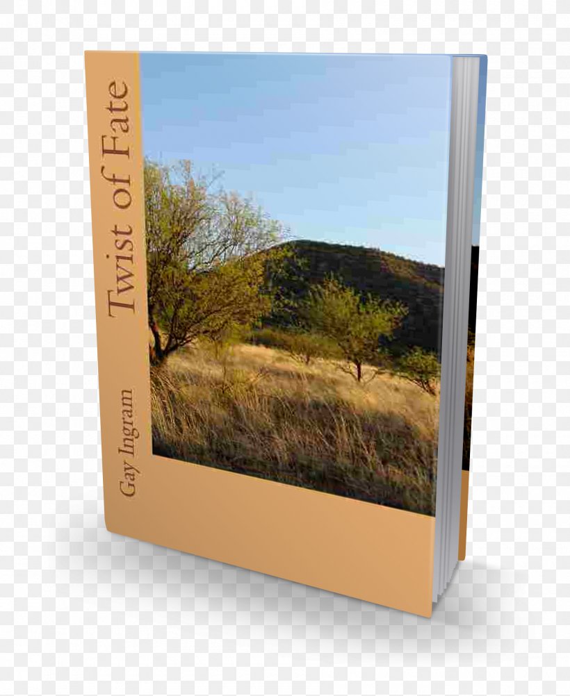 Twist Of Fate Paperback Book Picture Frames, PNG, 1800x2200px, Paperback, Book, Landscape, Picture Frame, Picture Frames Download Free