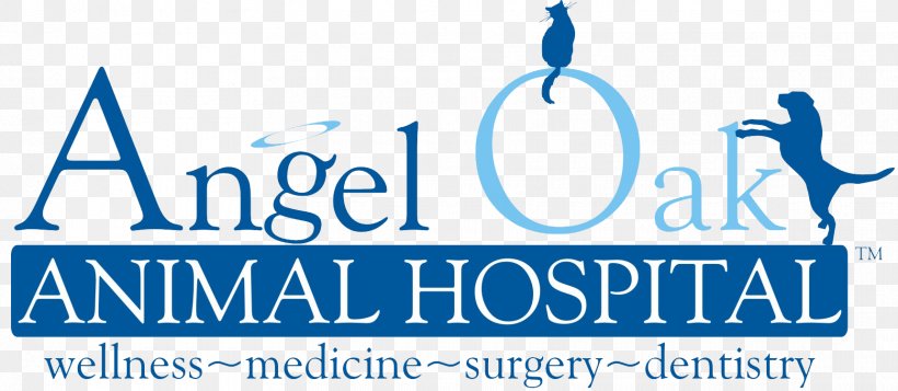 Angel Oak Animal Hospital Inc Dentistry Dental Antibiotic Prophylaxis Anesthesia Tooth Pathology, PNG, 1721x751px, Dentistry, Anesthesia, Anesthetic, Area, Blue Download Free