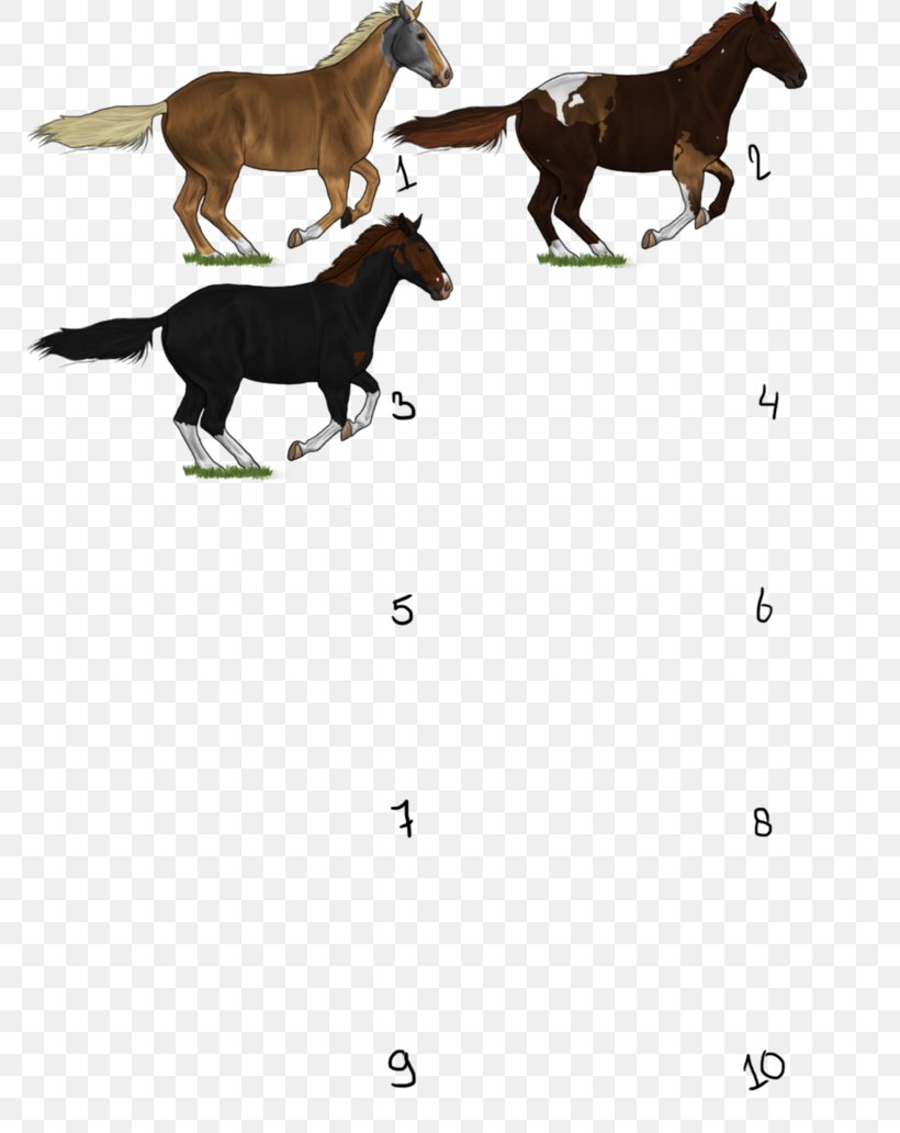 Mustang Foal Stallion Colt Pony, PNG, 774x1032px, Mustang, Canidae, Carnivoran, Cartoon, Cattle Like Mammal Download Free