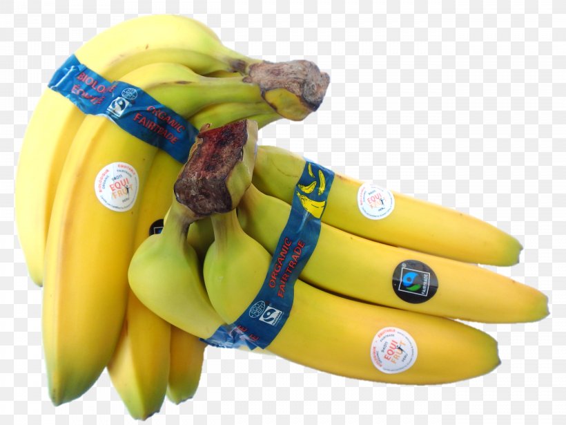 Banana Equifruit, Inc. Fairtrade Certification Fair Trade, PNG, 2624x1968px, Watercolor, Cartoon, Flower, Frame, Heart Download Free