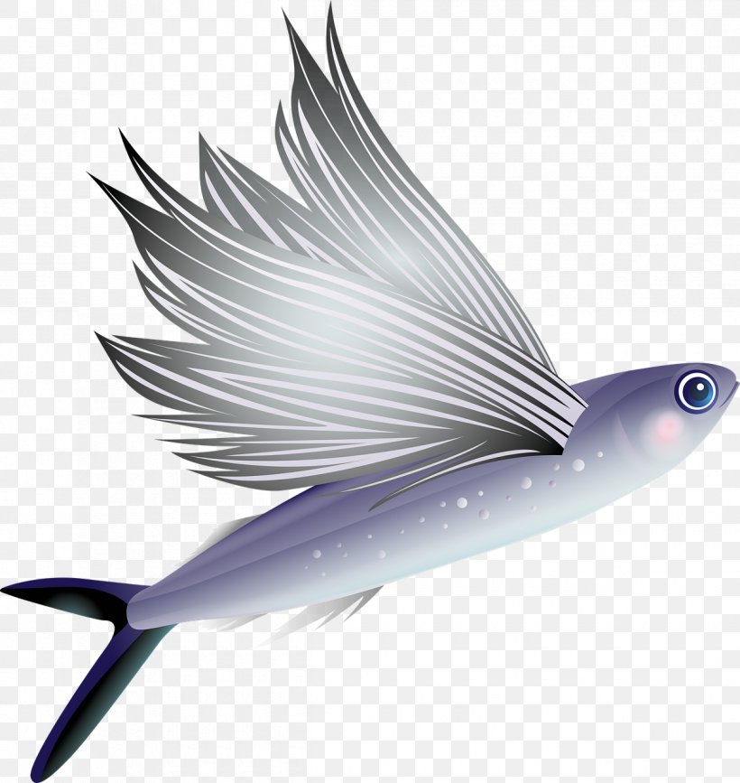 Flying Fish Aquarium Animal Vertebrate, PNG, 1210x1280px, Flying Fish, Animal, Aquarium, Dashi, Fin Download Free