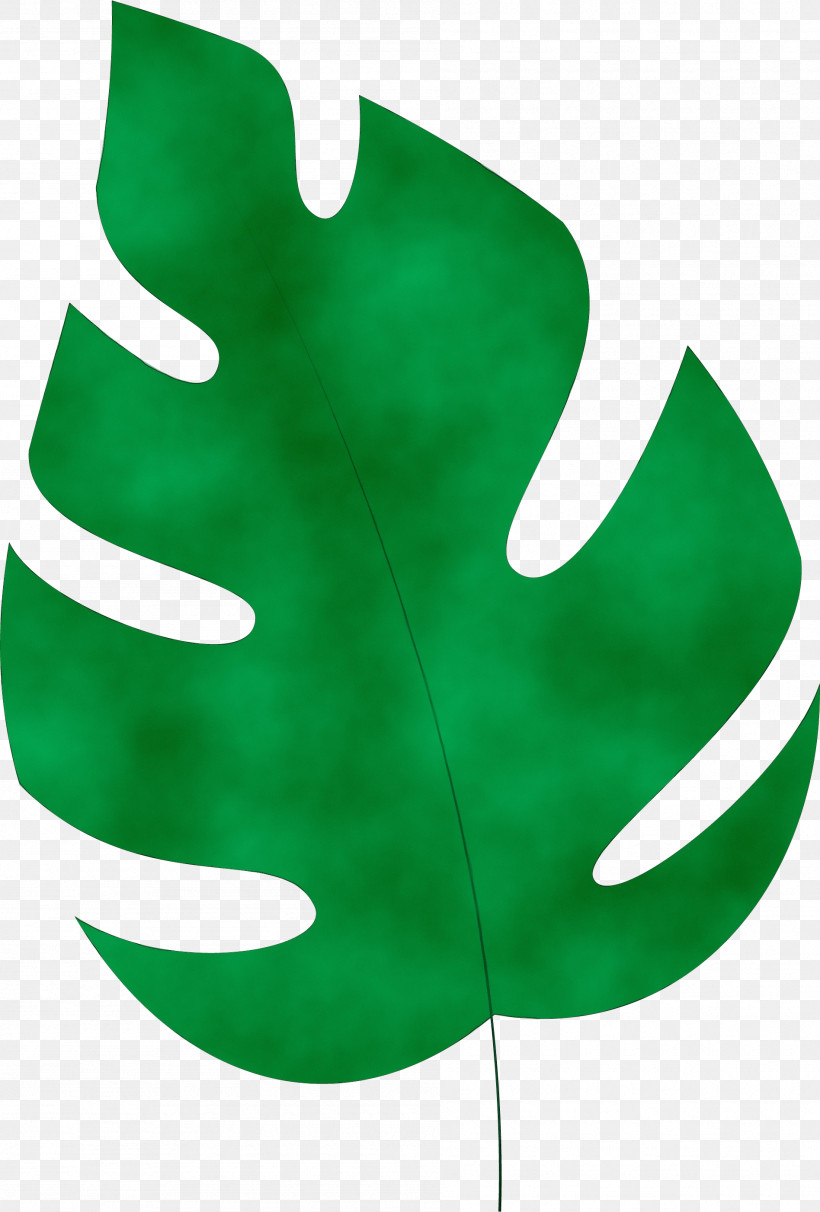 Leaf Green M-tree Tree Science, PNG, 1896x2804px, Watercolor, Biology, Green, Leaf, Mtree Download Free