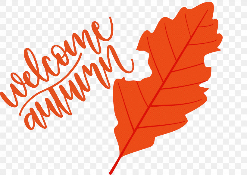 Welcome Autumn Autumn, PNG, 3000x2127px, Welcome Autumn, Autumn, Biology, Flower, Leaf Download Free
