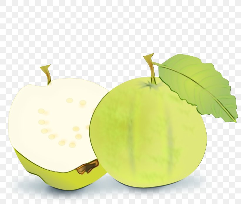 Fruit Leaf Plant Food Apple, PNG, 800x696px, Watercolor, Apple, Food, Fruit, Gooseberry Download Free