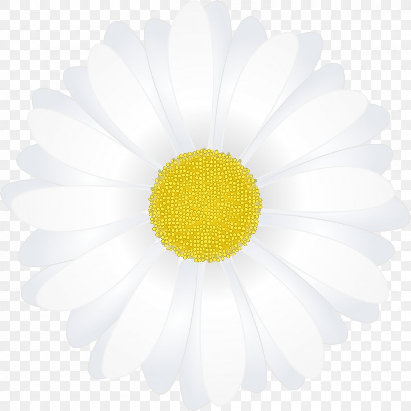 Paper Common Daisy Drawing Oxeye Daisy, PNG, 2400x2400px, Paper, Cartoon,  Chrysanths, Common Daisy, Daisy Download Free