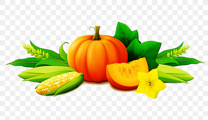 Pumpkin, PNG, 1024x594px, Natural Foods, Calabaza, Food, Fruit, Leaf Download Free