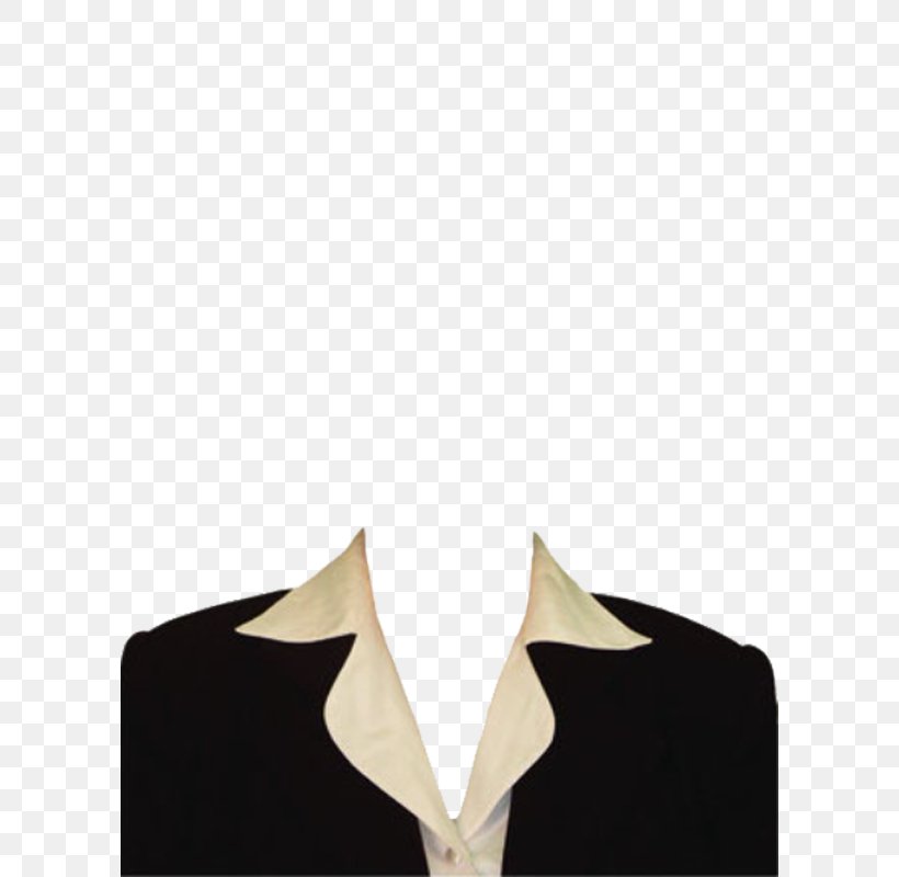 Suit Costume Clothing, PNG, 600x800px, Suit, Clothing, Collage, Costume, Document Download Free