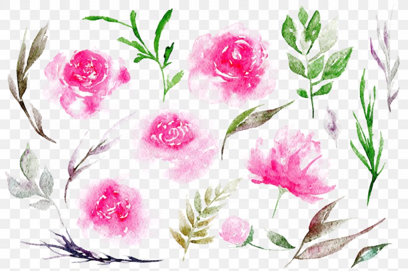 Watercolour Flowers Peony Clip Art, PNG, 1024x681px, Watercolour Flowers, Art, Drawing, Flora, Floral Design Download Free