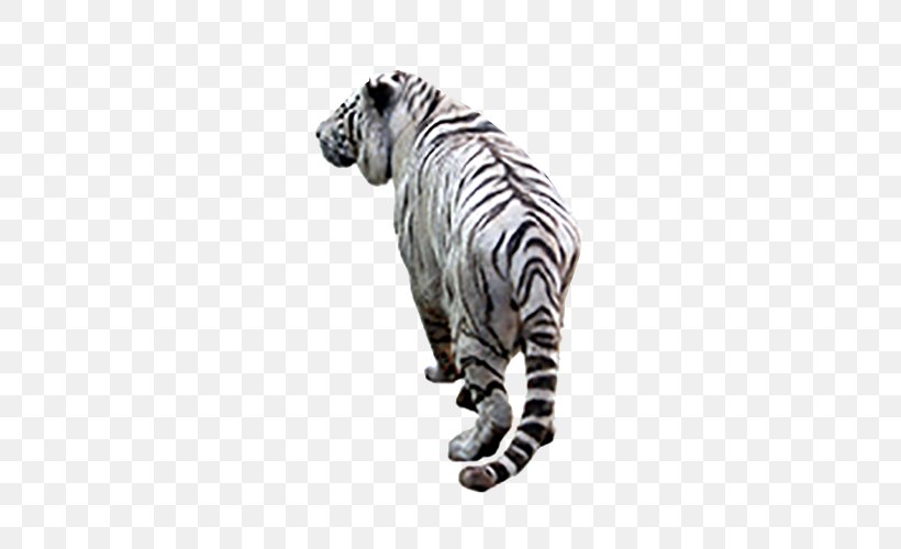 White Tiger Clip Art, PNG, 500x500px, Tiger, Animal, Big Cats, Carnivoran, Cat Like Mammal Download Free