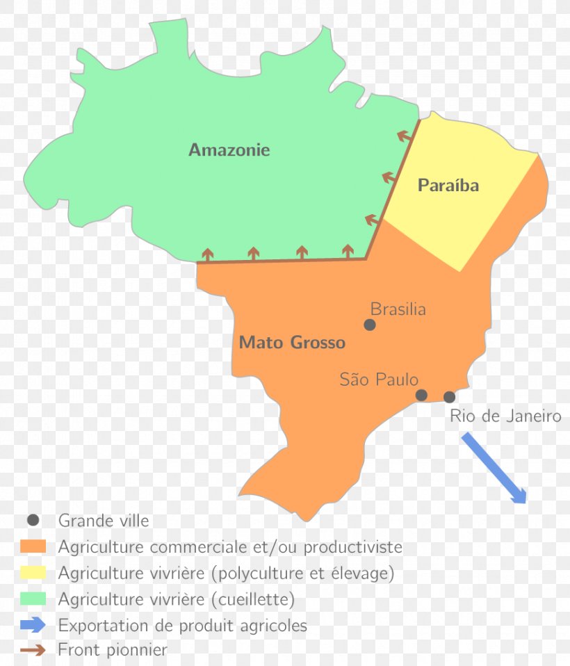 Brazil Agriculture Systemy Rolnicze Intensive Farming Agricultura En Brasil, PNG, 870x1017px, Brazil, Agriculture, Area, Diagram, Ecoregion Download Free