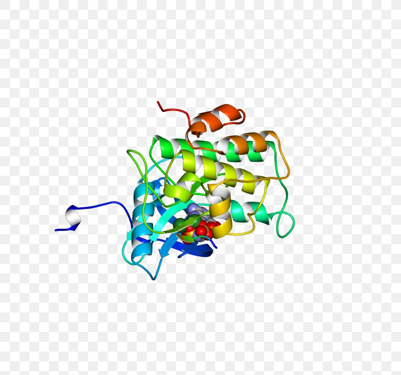 Insulin Receptor Donohue Syndrome Rabson–Mendenhall Syndrome, PNG, 768x768px, Insulin Receptor, Area, Artwork, Chromosome 19, Diabetes Mellitus Download Free