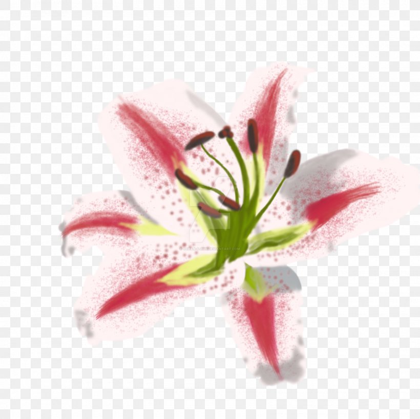 Lilium Painting Art Flower Still Life, PNG, 1600x1600px, Lilium, Amaryllis Belladonna, Art, Artist, Cut Flowers Download Free