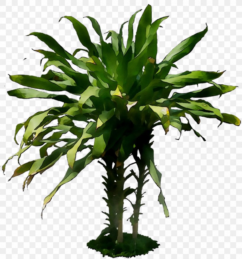 Leaf Flowerpot Houseplant Plant Stem Vascular Plant, PNG, 1016x1087px, Leaf, Aquarium Decor, Botany, Flower, Flowering Plant Download Free