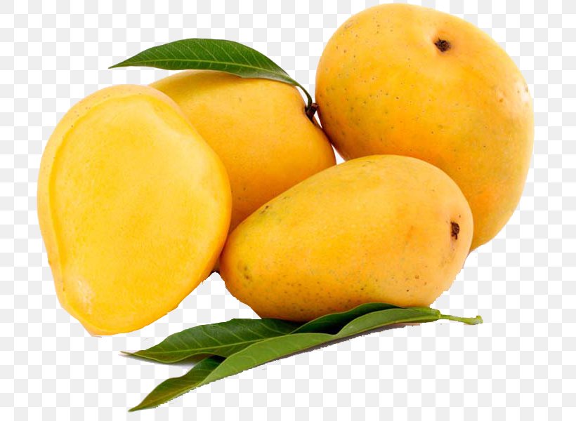 Devgad Taluka Alphonso Mangifera Indica Mango Fruit, PNG, 800x600px, Devgad Taluka, Alphonso, Citrus, Food, Fruit Download Free