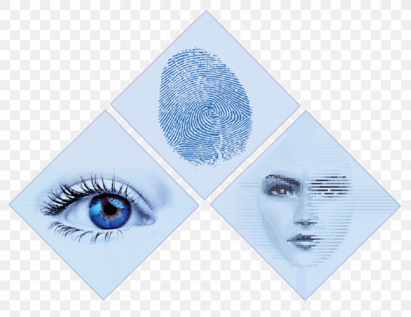 Eye Book, PNG, 903x698px, Eye, Blue, Book, Eyelash Download Free