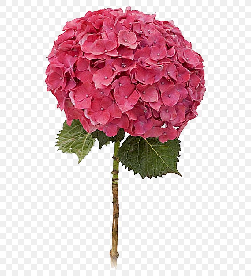 Flower Green Color Rose Pink, PNG, 540x900px, Flower, Artificial Flower, Blue, Color, Cornales Download Free