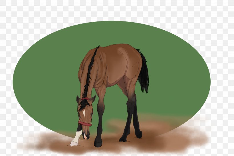 Mane Mustang Foal Stallion Colt, PNG, 4000x2668px, Mane, Bridle, Cartoon, Colt, Foal Download Free