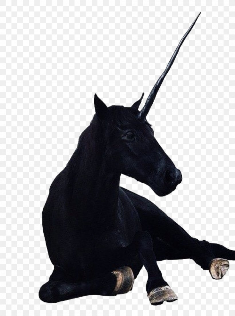 The Black Unicorn Legendary Creature Horse Indus Valley Civilisation, PNG, 1000x1342px, Unicorn, Black Unicorn, Bridle, Evil, Ffffound Download Free