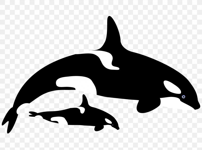 Tucuxi Common Bottlenose Dolphin Killer Whale Clip Art, PNG, 1400x1043px, Tucuxi, Beak, Biome, Black And White, Bottlenose Dolphin Download Free