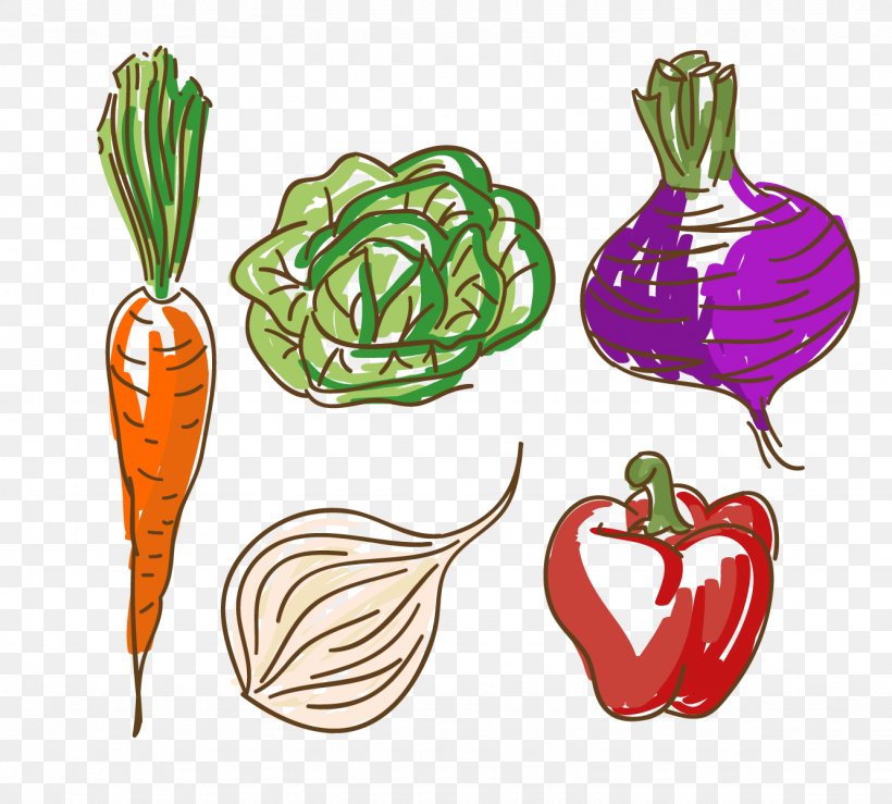 Vegetable Carrot Food Capsicum Annuum, PNG, 1333x1202px, Watercolor, Cartoon, Flower, Frame, Heart Download Free