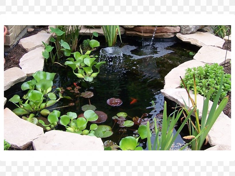 Body Of Water Pond Landscaping Garden Water Feature, PNG, 1200x900px, Body Of Water, Aquatic Ecosystem, Aquatic Plant, Aquatic Plants, Fish Pond Download Free