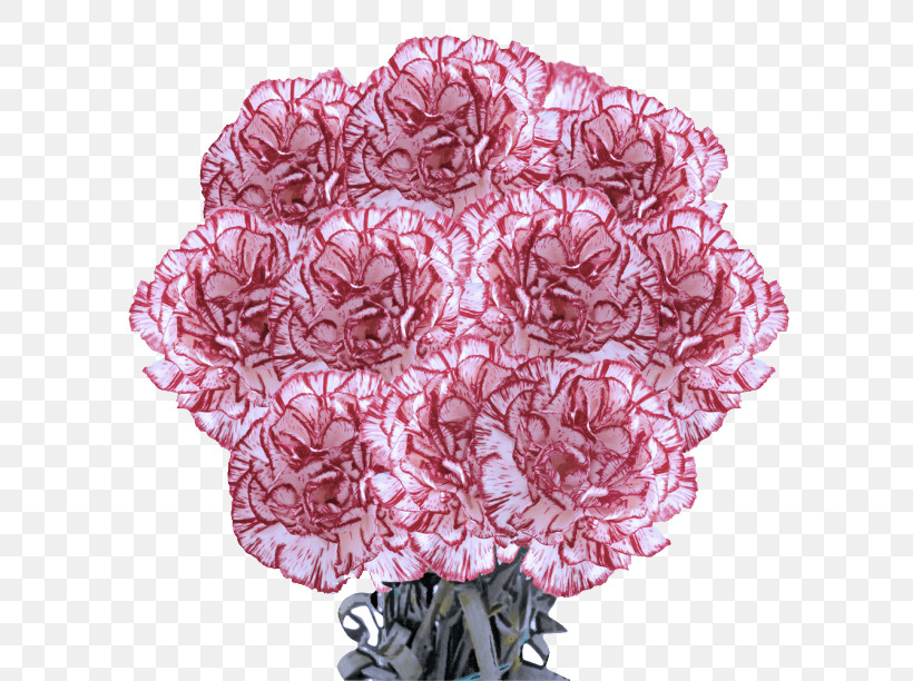Floral Design, PNG, 612x612px, Cut Flowers, Floral Design, Flower, Petal, Pink M Download Free