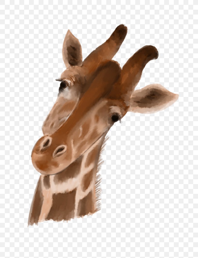 Giraffe Neck Close-up Fur Snout, PNG, 751x1065px, Giraffe, Animal, Closeup, Fauna, Fur Download Free