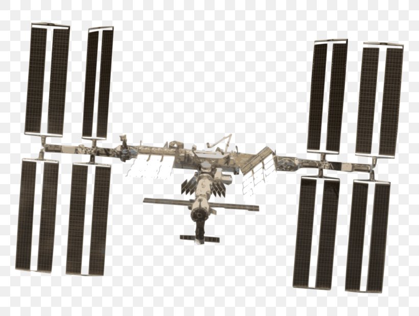 International Space Station STS-118 Clip Art, PNG, 800x618px, International Space Station, Astronaut, Cupola, Diagram, Docking And Berthing Of Spacecraft Download Free